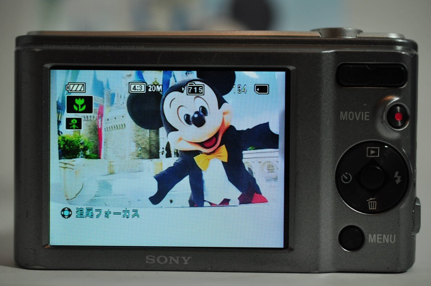 [Near Mint] Sony Cyber-shot DSC-W810 20.1MP Digital Camera Silver from Japan